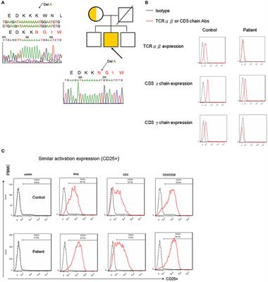 A Novel CD3G Mutation in a Taiwanese Patient With Normal T Regulatory Function Presenting With the CVID Phenotype Free of Autoimmunity—Analysis of all Genotypes and Phenotypes